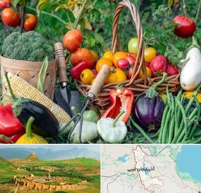 فروشگاه لوازم کشاورزی در آذربایجان غربی