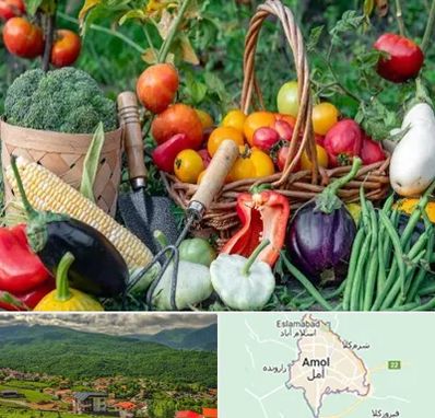 فروشگاه لوازم کشاورزی در آمل