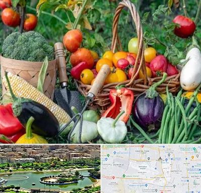 فروشگاه لوازم کشاورزی در منطقه 9 تهران 