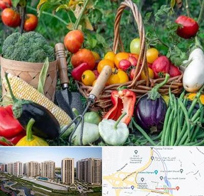 فروشگاه لوازم کشاورزی در المپیک 