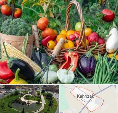 فروشگاه لوازم کشاورزی در کهریزک