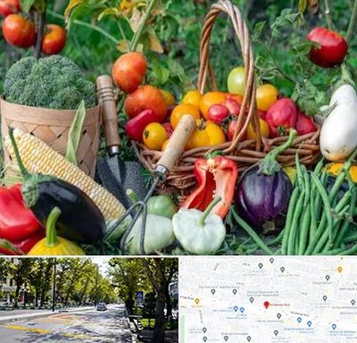 فروشگاه لوازم کشاورزی در میرداماد