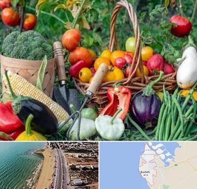 فروشگاه لوازم کشاورزی در بوشهر