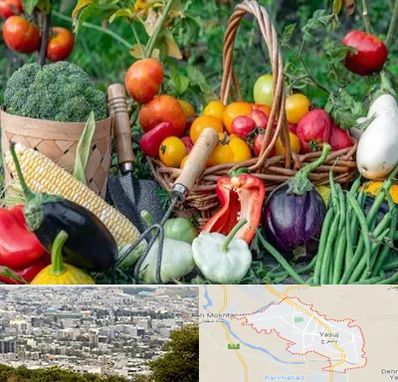 فروشگاه لوازم کشاورزی در یاسوج