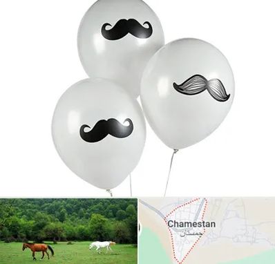 چاپ روی بادکنک در چمستان