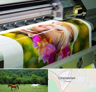 چاپ دیجیتال در چمستان