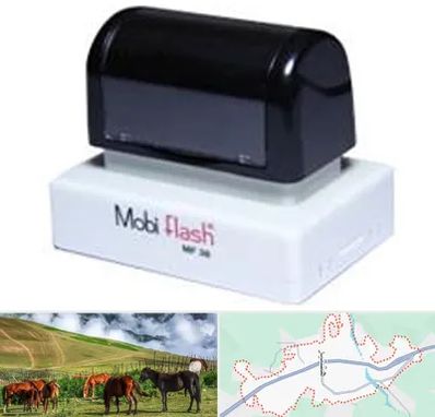 ساخت مهر لیزری در تالش