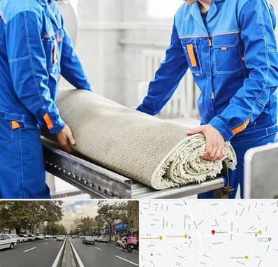 قالی شویی در دولت