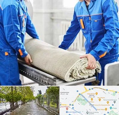 قالی شویی در خیابان ارم شیراز