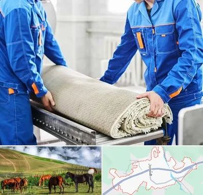 قالی شویی در تالش