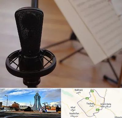 آموزشگاه خوانندگی در تایباد