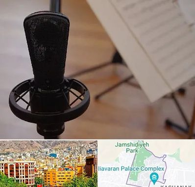 آموزشگاه خوانندگی در نیاوران