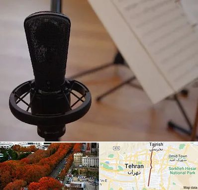 آموزشگاه خوانندگی در ولیعصر