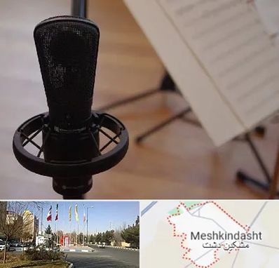 آموزشگاه خوانندگی در مشکین دشت