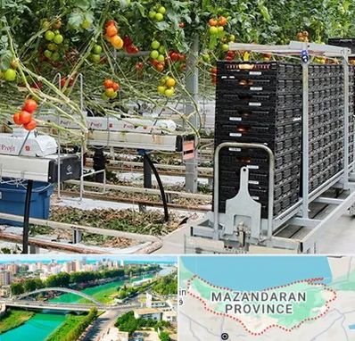 فروش تجهیزات گلخانه در مازندران