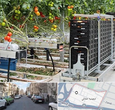 فروش تجهیزات گلخانه در مجیدیه شمالی