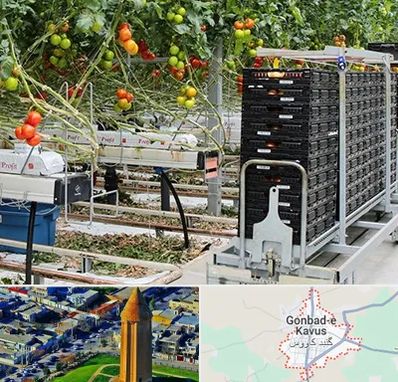 فروش تجهیزات گلخانه در گنبد کاووس