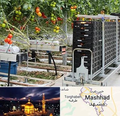 فروش تجهیزات گلخانه در مشهد