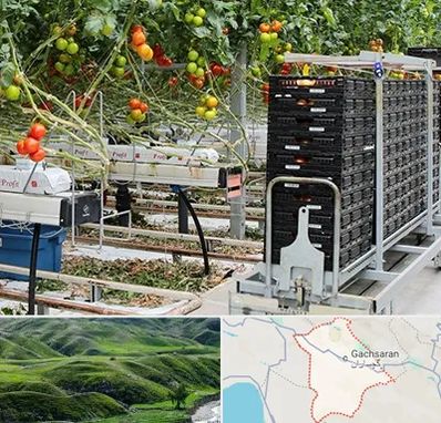 فروش تجهیزات گلخانه در گچساران