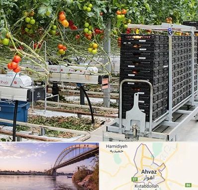 فروش تجهیزات گلخانه در اهواز