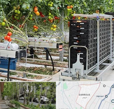 فروش تجهیزات گلخانه در دروس