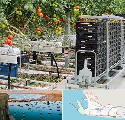 فروش تجهیزات گلخانه در چابهار