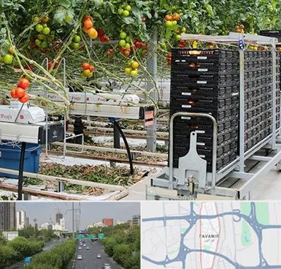 فروش تجهیزات گلخانه در توانیر