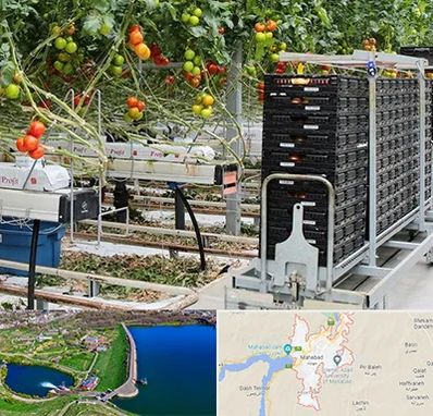 فروش تجهیزات گلخانه در مهاباد