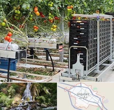 فروش تجهیزات گلخانه در الیگودرز