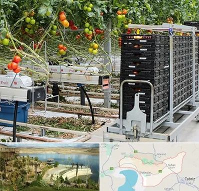 فروش تجهیزات گلخانه در شبستر