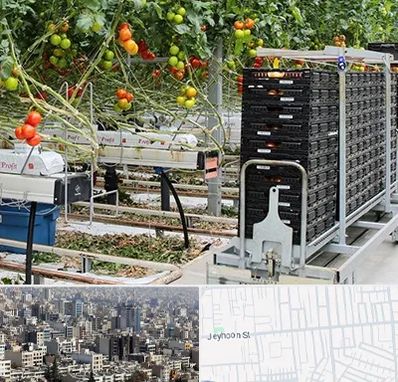 فروش تجهیزات گلخانه در جیحون