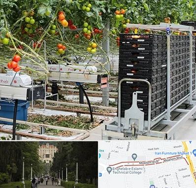 فروش تجهیزات گلخانه در بلوار معلم رشت 