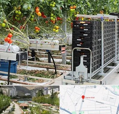 فروش تجهیزات گلخانه در بلوار تعاون