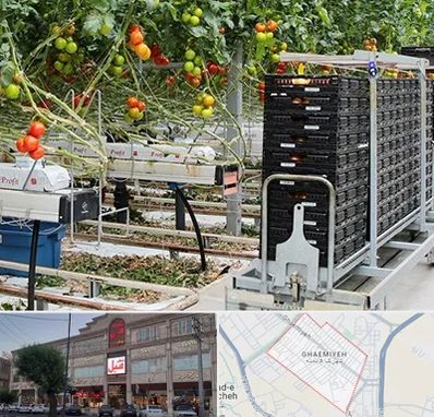 فروش تجهیزات گلخانه در قائمیه اسلامشهر