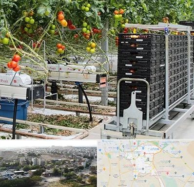 فروش تجهیزات گلخانه در منطقه 20 تهران 