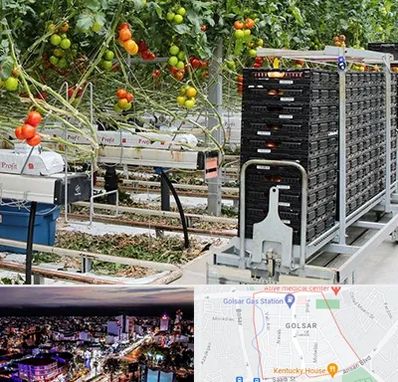 فروش تجهیزات گلخانه در گلسار رشت 