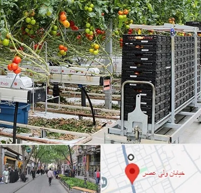 فروش تجهیزات گلخانه در ولیعصر شهریار