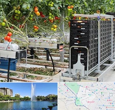 فروش تجهیزات گلخانه در کوهسنگی مشهد 