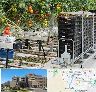 فروش تجهیزات گلخانه در صیاد شیرازی مشهد 