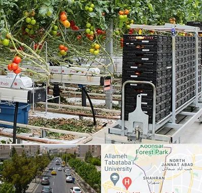 فروش تجهیزات گلخانه در شهران 