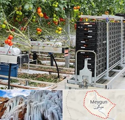 فروش تجهیزات گلخانه در میگون