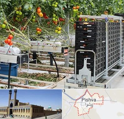 فروش تجهیزات گلخانه در پیشوا