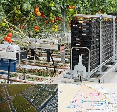 فروش تجهیزات گلخانه در الهیه مشهد 