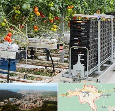فروش تجهیزات گلخانه در گرگان