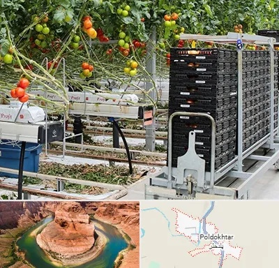 فروش تجهیزات گلخانه در پلدختر