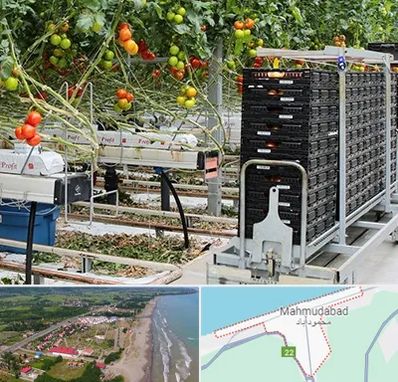 فروش تجهیزات گلخانه در محمودآباد