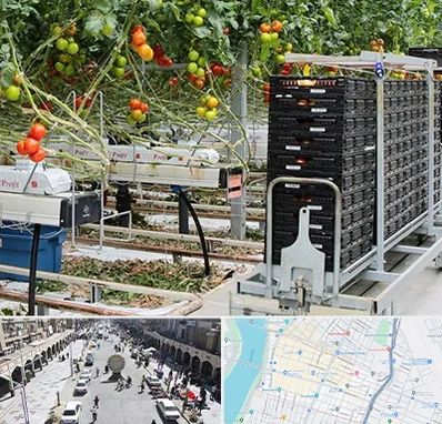 فروش تجهیزات گلخانه در نادری اهواز 