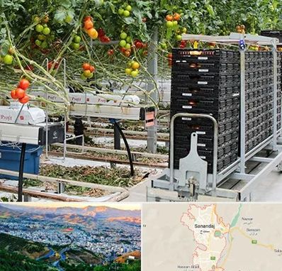 فروش تجهیزات گلخانه در سنندج