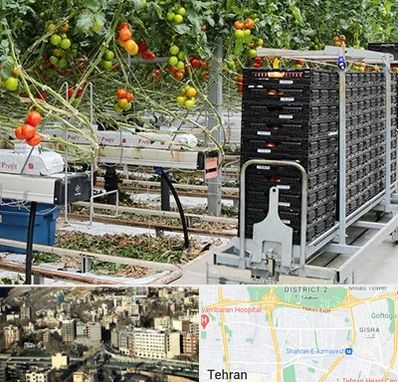 فروش تجهیزات گلخانه در مرزداران 