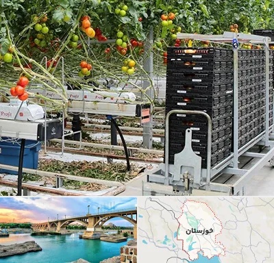 فروش تجهیزات گلخانه در خوزستان